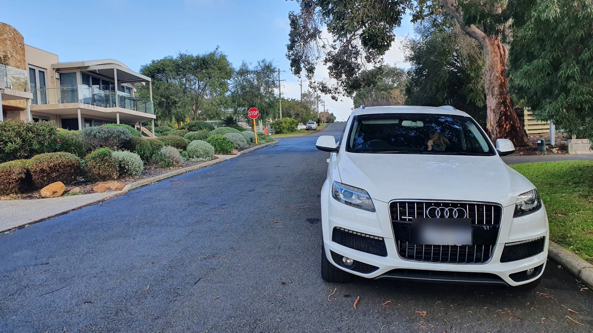 A European car outside after a service at P & D Autos in Bunbury